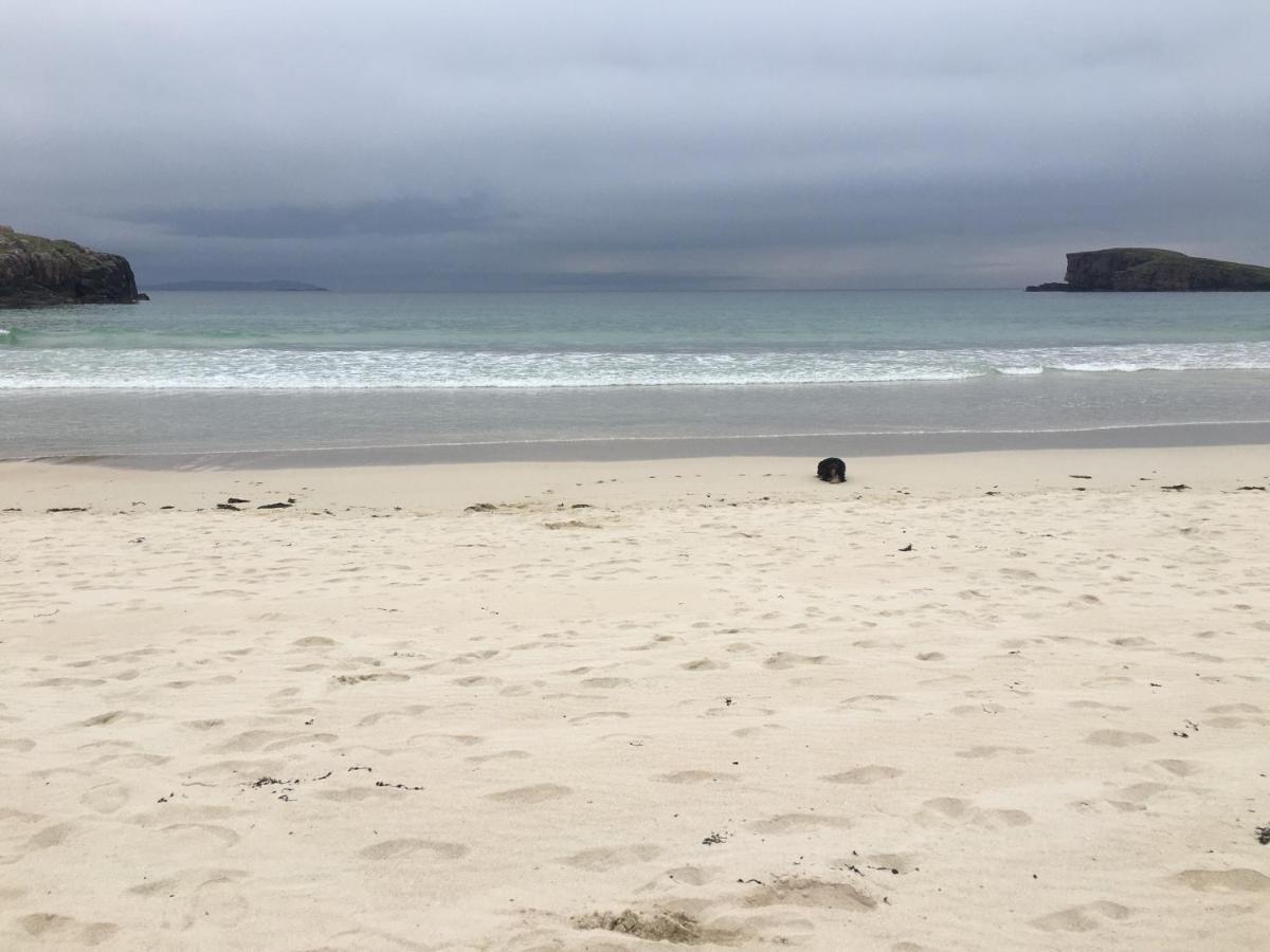 Eco Crofters Wagon By The Beach Oldshoremore Экстерьер фото